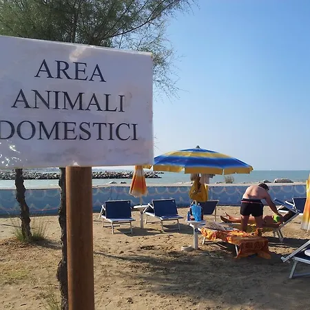 Paloma Front Chiringuitos Time 3* Rimini