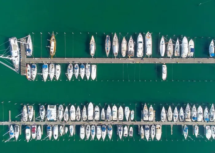 Paloma Front Chiringuitos Time 3* 리미니