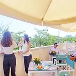 Paloma 3*