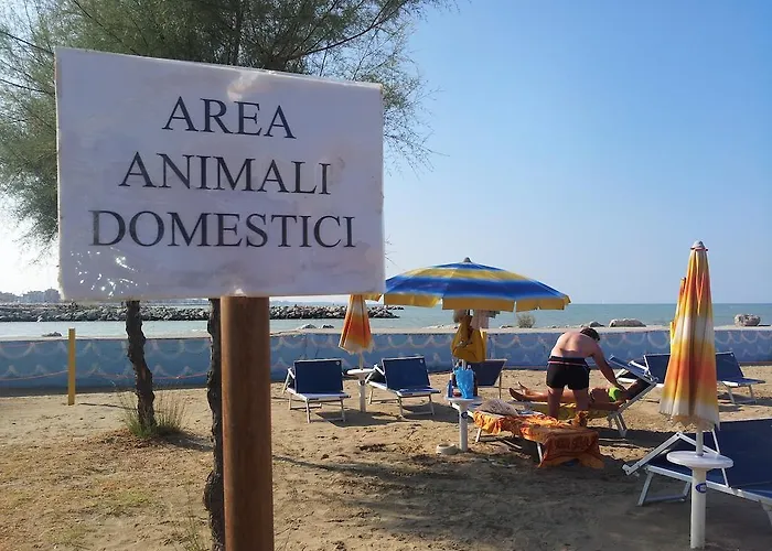 Paloma Front Chiringuitos Time 3* Ρίμινι