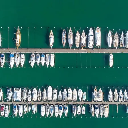 Paloma Front Chiringuitos Time 3* Rimini