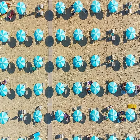 Paloma Front Chiringuitos Time Hotel